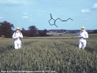 Toby Insect Toby bruce applications of understanding insect chemical ecology -2017 ...