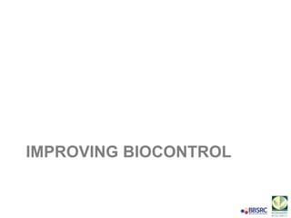 Toby Insect Toby bruce applications of understanding insect chemical ecology -2017 ...