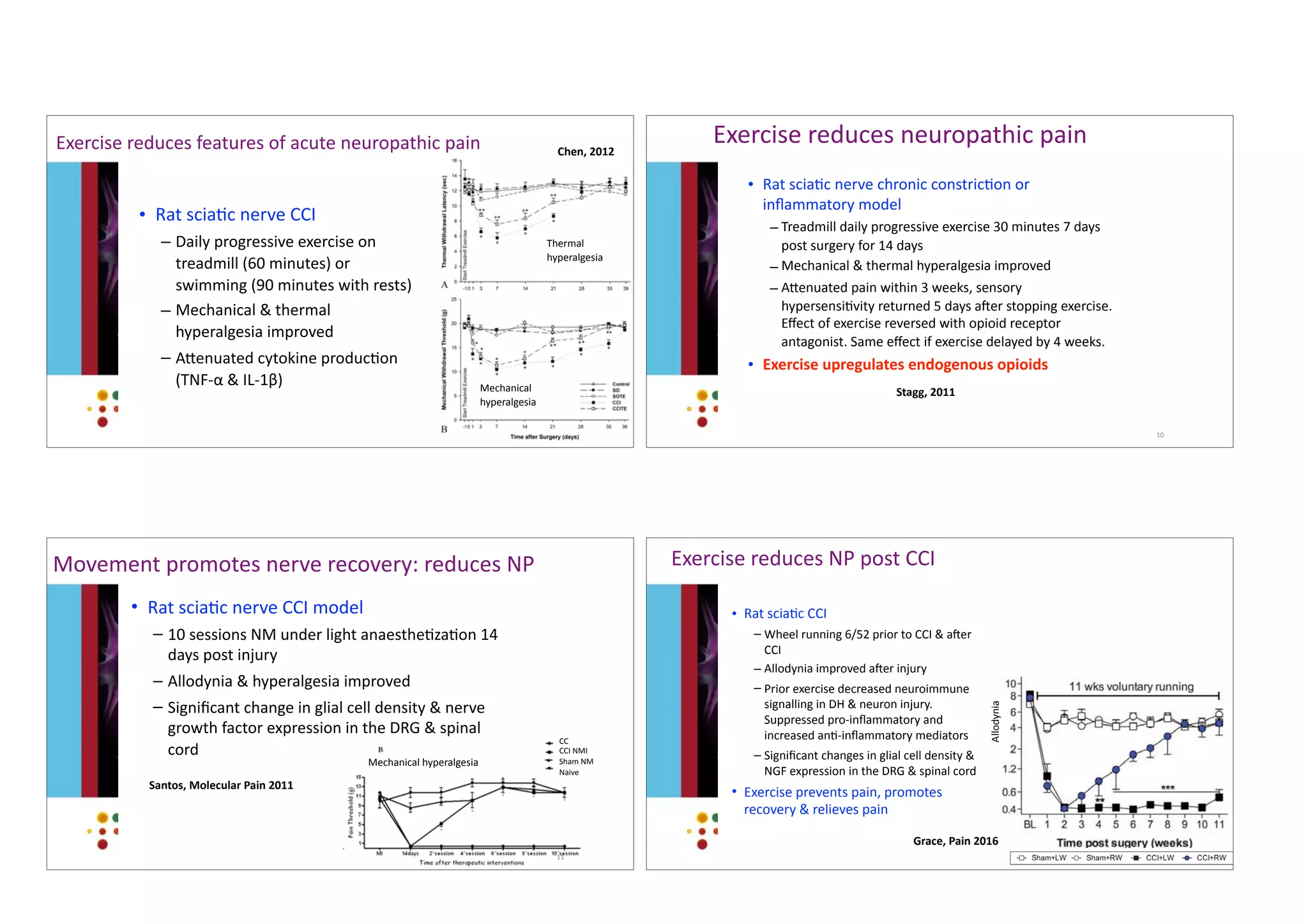 Exercise	reduces	features	of	acute	neuropathic	pain
• Rat	sciacc	nerve	CCI	
– Daily	progressive	exercise	on	
treadmill	(60	minutes)	or	
swimming	(90	minutes	with	rests)	
– Mechanical	&	thermal	
hyperalgesia	improved	
– Aaenuated	cytokine	produccon	
(TNF-α	&	IL-1β)
9
Chen,	2012
Thermal	
hyperalgesia
Mechanical	
hyperalgesia
Exercise	reduces	neuropathic	pain
• Rat	sciacc	nerve	chronic	constriccon	or	
inﬂammatory	model	
– Treadmill	daily	progressive	exercise	30	minutes	7	days	
post	surgery	for	14	days	
– Mechanical	&	thermal	hyperalgesia	improved	
– Aaenuated	pain	within	3	weeks,	sensory	
hypersensicvity	returned	5	days	aher	stopping	exercise.	
Eﬀect	of	exercise	reversed	with	opioid	receptor	
antagonist.	Same	eﬀect	if	exercise	delayed	by	4	weeks.	
• Exercise	upregulates	endogenous	opioids
10
Stagg,	2011
CC	
CCI	NMI	
Sham	NM	
Naive
Movement	promotes	nerve	recovery:	reduces	NP
• Rat	sciacc	nerve	CCI	model	
– 10	sessions	NM	under	light	anaestheczacon	14	
days	post	injury	
– Allodynia	&	hyperalgesia	improved	
– Signiﬁcant	change	in	glial	cell	density	&	nerve	
growth	factor	expression	in	the	DRG	&	spinal	
cord
11
Santos,	Molecular	Pain	2011
Mechanical	hyperalgesia
Exercise	reduces	NP	post	CCI
• Rat	sciacc	CCI	
– Wheel	running	6/52	prior	to	CCI	&	aher	
CCI	
– Allodynia	improved	aher	injury	
– Prior	exercise	decreased	neuroimmune	
signalling	in	DH	&	neuron	injury.	
Suppressed	pro-inﬂammatory	and	
increased	anc-inﬂammatory	mediators	
– Signiﬁcant	changes	in	glial	cell	density	&	
NGF	expression	in	the	DRG	&	spinal	cord	
• Exercise	prevents	pain,	promotes	
recovery	&	relieves	pain
12
Grace,	Pain	2016
Allodynia
 