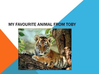 MY FAVOURITE ANIMAL FROM TOBY
 