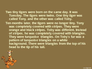 Two tiny tigers were born on the same day. It was Tuesday. The tigers were twins. One tiny tiger was called Tony, and the other was called Toby.  Ten months later, the tigers were no longer tiny. Tony was completely covered with stripes. They were orange and black stripes. Toby was different. Instead of stripes, he was completely covered with triangles. They were turquoise  triangles. On Toby’s fur was a pattern of turquoise triangles on a white background. There were triangles from the top of his head to the tip of his tail. 