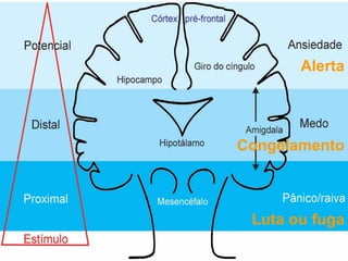 Alerta

Congelamento

Luta ou fuga

 