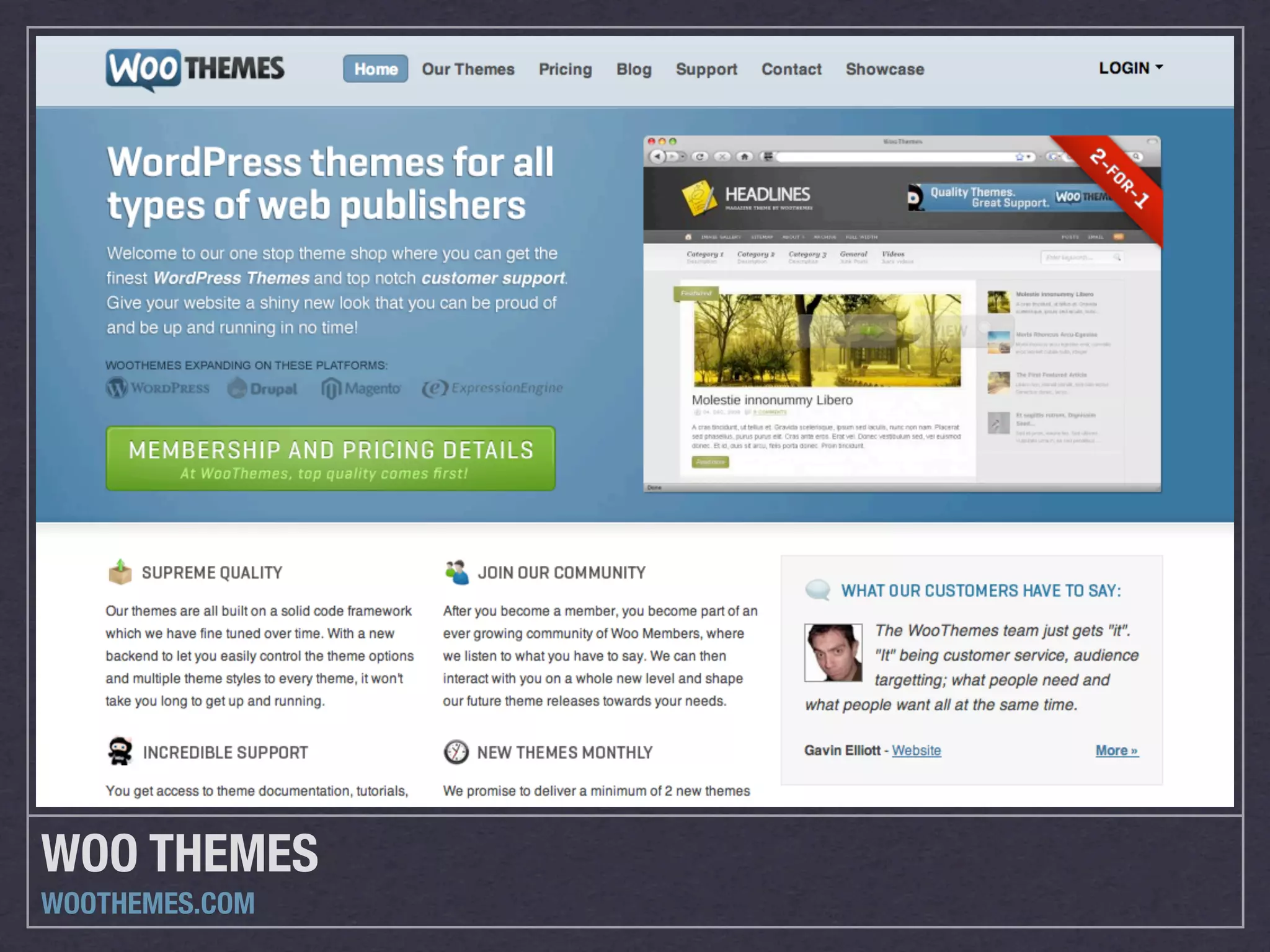 WOO THEMES
WOOTHEMES.COM
 