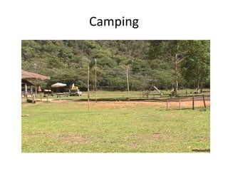 Camping
 