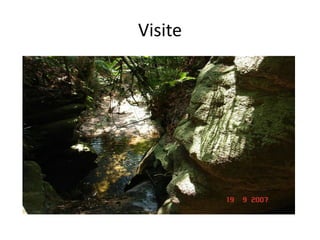 Visite
 