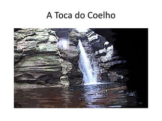 A Toca do Coelho
 