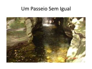 Um Passeio Sem Igual
 