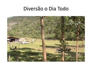 Diversão o Dia Todo
 