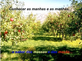 Conhecer as manhas e as manhãs, o sabor das  massas  e das   maçãs ... 