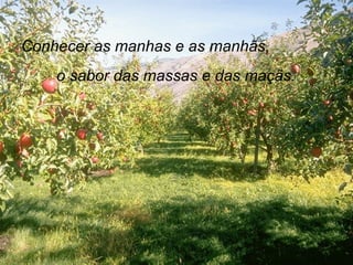 Conhecer as manhas e as manhãs, o sabor das massas e das maçãs. 
