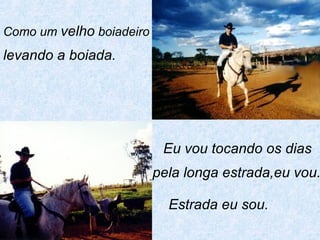 Como um  velho  boiadeiro levando a boiada. Eu vou tocando os dias pela longa estrada,eu vou. Estrada eu sou. 