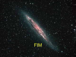 FIM 