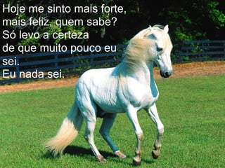 Hoje me sinto mais forte, mais feliz, quem sabe? Só levo a certeza de que muito pouco   eu sei. Eu nada sei. 