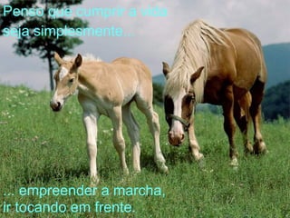 Penso que cumprir a vida seja simplesmente... ... empreender a marcha, ir tocando em frente. 