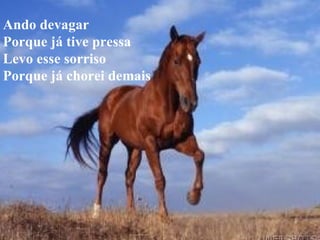 Ando devagar Porque já tive pressa Levo esse sorriso Porque já chorei demais 