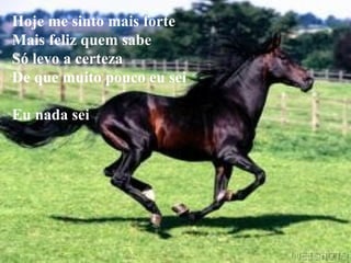 Hoje me sinto mais forte Mais feliz quem sabe Só levo a certeza De que muito pouco eu sei Eu nada sei 