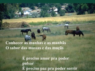 Conhecer as manhas e as manhãs O sabor das massas e das maçãs É preciso amor pra poder pulsar É preciso paz pra poder sorrir É preciso a chuva para florir 