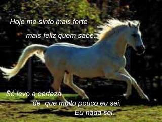 Hoje me sinto mais fortemais feliz quem sabe.Só levo a certezade  que muito pouco eu sei.Eu nada sei.