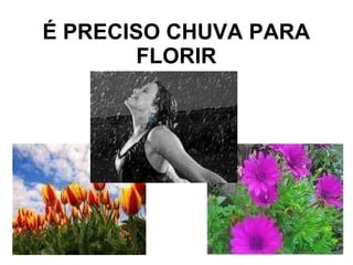 É PRECISO CHUVA PARA FLORIR 