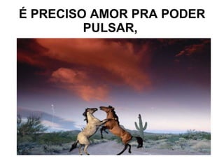 É PRECISO AMOR PRA PODER PULSAR,  
