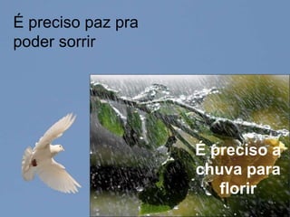 É preciso paz pra poder sorrirÉ preciso a chuva para florir