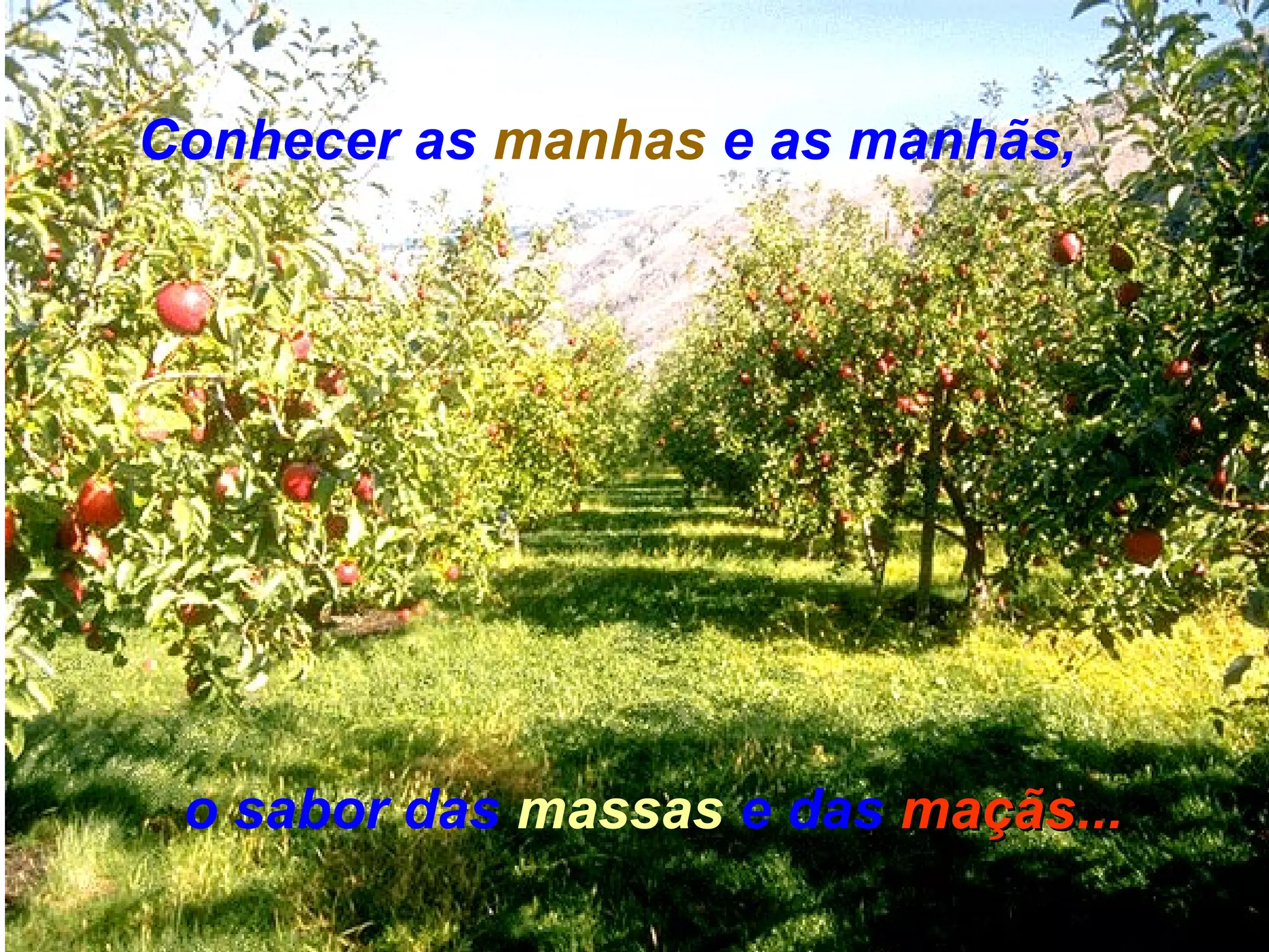 Conhecer as manhas e as manhãs,




 o sabor das massas e das maçãs...
                          maçãs
 