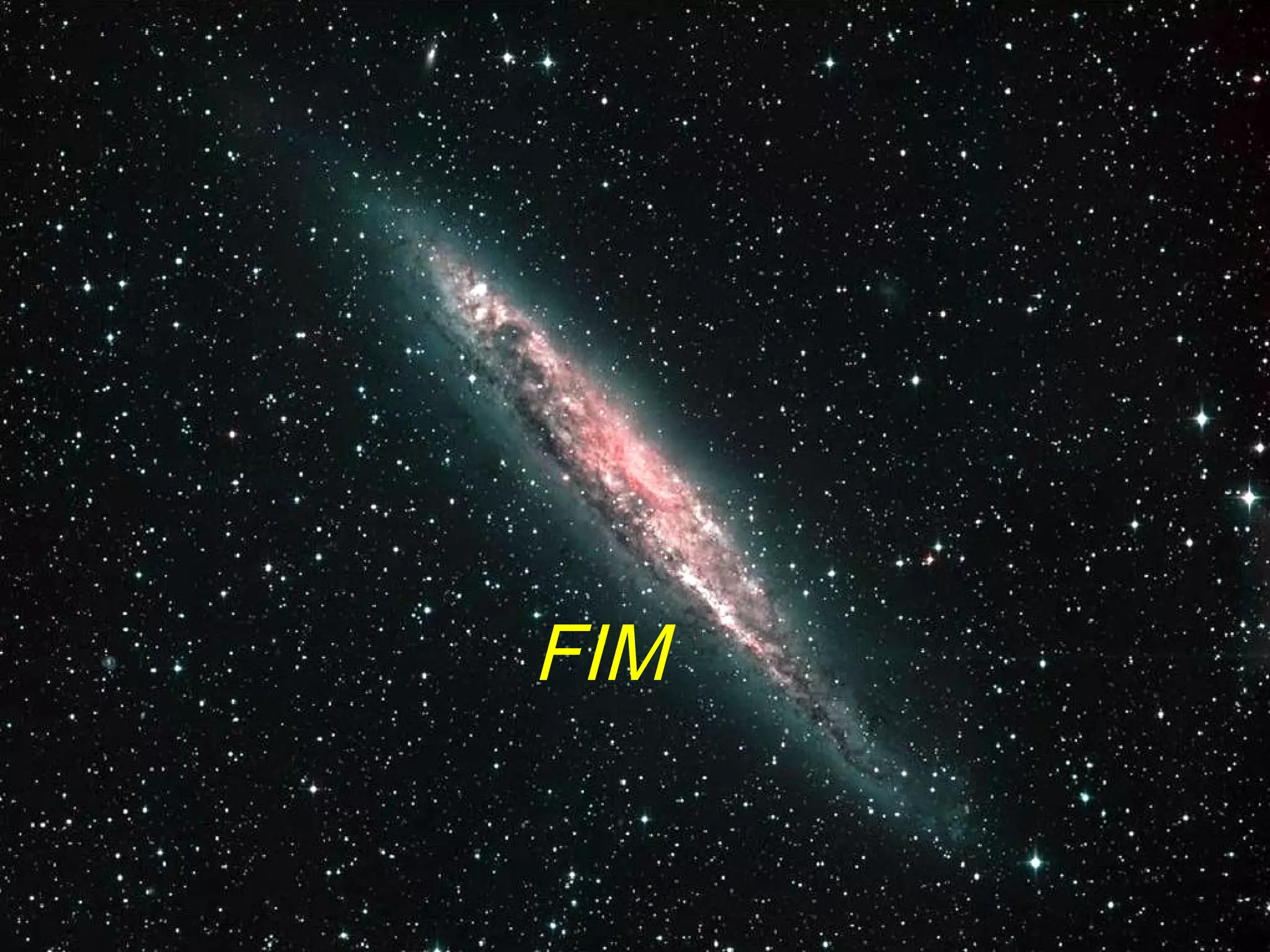 FIM
 
