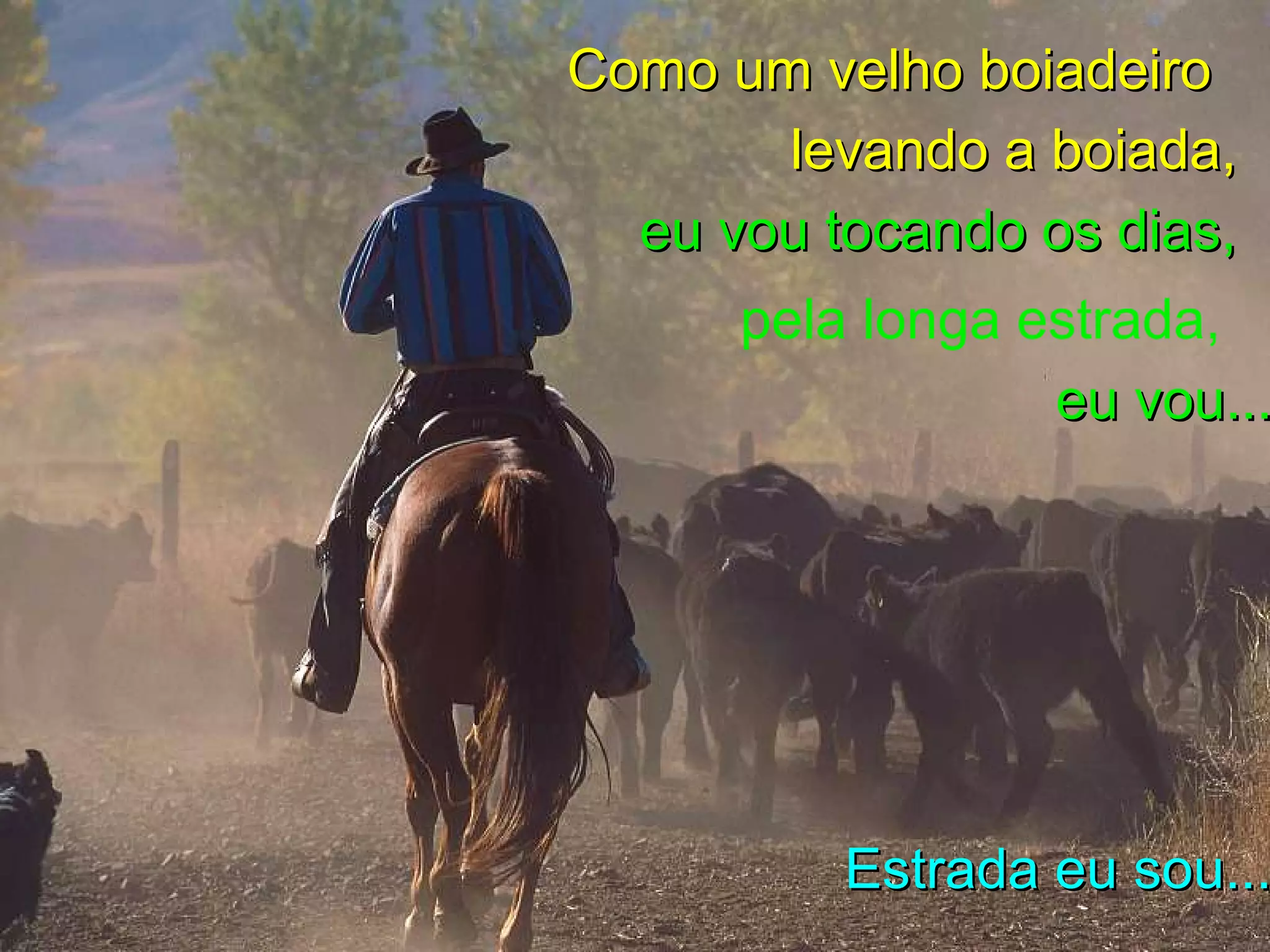 Como um velho boiadeiro
       levando a boiada,
  eu vou tocando os dias,
      pela longa estrada,
                  eu vou...




          Estrada eu sou...
 