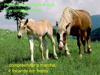 Penso que cumprir a vida
seja simplesmente...




... compreender a marcha,
    ir tocando em frente.
 