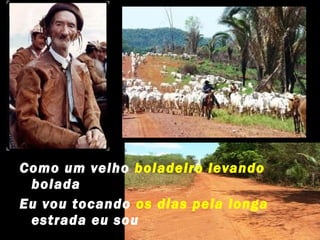 Como um velho boiadeiro levando
 boiada
Eu vou tocando os dias pela longa
 estrada eu sou
 