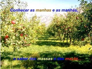 Conhecer as  manhas  e as manhãs, o sabor das  massas  e das   maçãs ... 