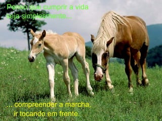 Penso que cumprir a vida seja simplesmente... ... compreender a marcha, ir tocando em frente. 