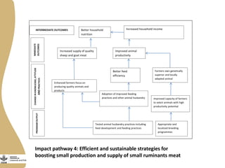 Review of small ruminants value chain impact pathways developed for Ethiopia