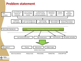 Review of small ruminants value chain impact pathways developed for Ethiopia