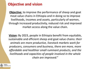 Review of small ruminants value chain impact pathways developed for Ethiopia