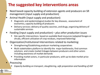 Review of small ruminants value chain impact pathways developed for Ethiopia