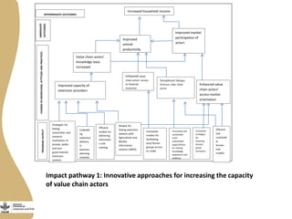 Review of small ruminants value chain impact pathways developed for Ethiopia