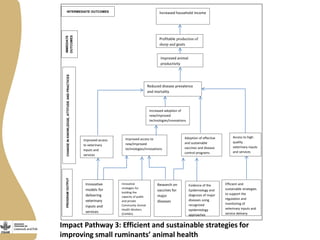 Review of small ruminants value chain impact pathways developed for Ethiopia