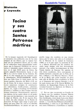 Guadalinfo Tocina
 