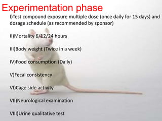 Experimentation phase
I)Test compound exposure multiple dose (once daily for 15 days) and
dosage schedule (as recommended by sponsor)
II)Mortality 6/12/24 hours
III)Body weight (Twice in a week)
IV)Food consumption (Daily)
V)Fecal consistency
VI)Cage side activity
VII)Neurological examination
VIII)Urine qualitative test
 