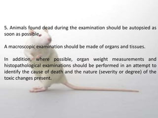5. Animals found dead during the examination should be autopsied as
soon as possible.
A macroscopic examination should be made of organs and tissues.
In addition, where possible, organ weight measurements and
histopathological examinations should be performed in an attempt to
identify the cause of death and the nature (severity or degree) of the
toxic changes present.
 