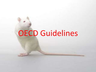 OECD Guidelines
 