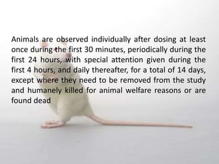 Animals are observed individually after dosing at least
once during the first 30 minutes, periodically during the
first 24 hours, with special attention given during the
first 4 hours, and daily thereafter, for a total of 14 days,
except where they need to be removed from the study
and humanely killed for animal welfare reasons or are
found dead
 
