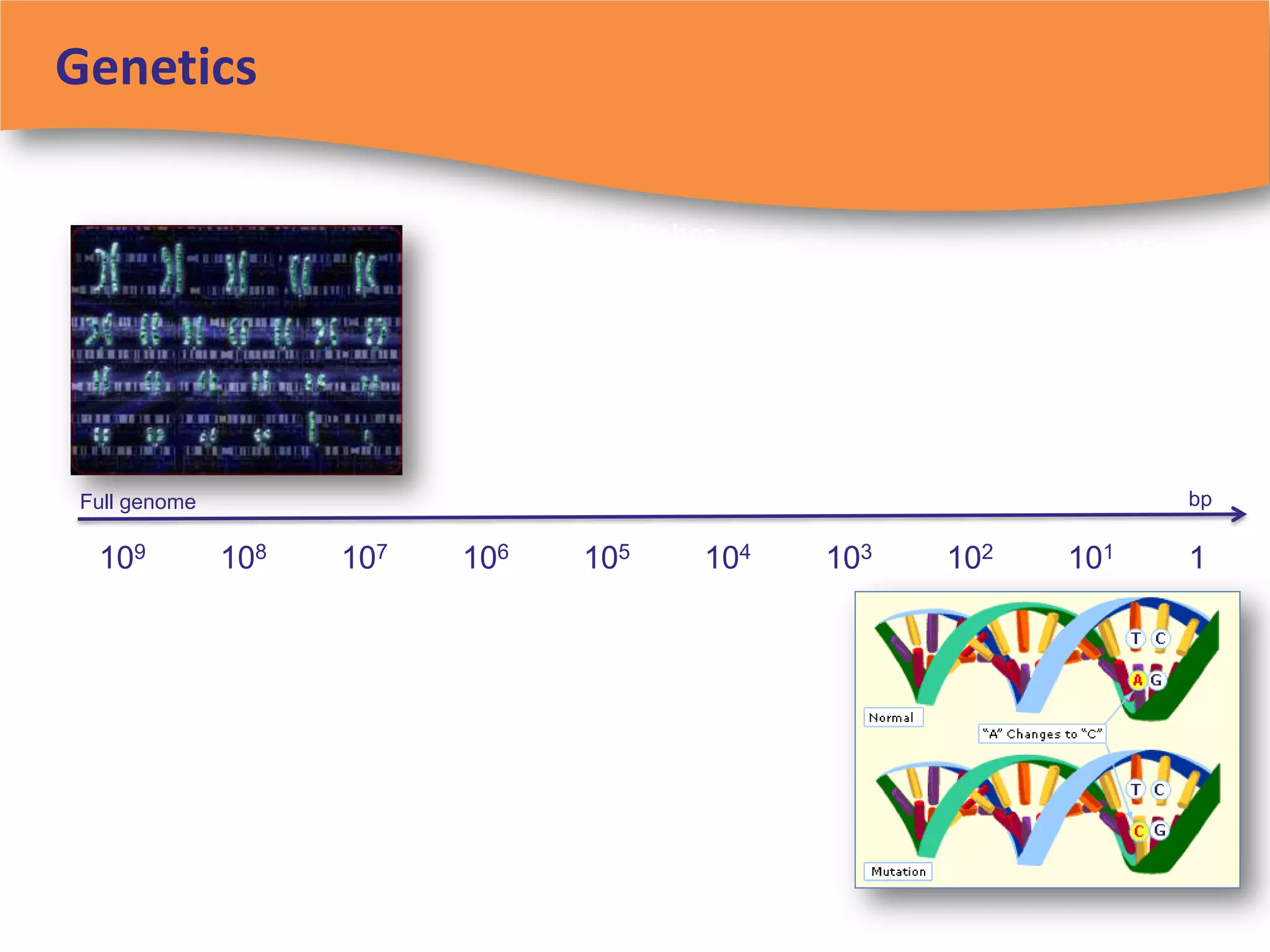Genetics

 Whole-genome                      Probes
                                                           MSP
 Bisulphite seq                  (450-27K)




Full genome                                                      bp

 109          108   107   106   105    104   103   102   101     1
 