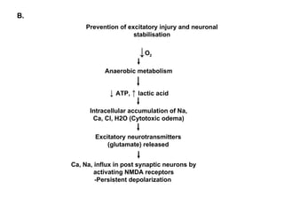 B.
          Prevention of excitatory injury and neuronal
                          stabilisation

                           ↓O  2



                Anaerobic metabolism


                 ↓ ATP, ↑ lactic acid

           Intracellular accumulation of Na,
            Ca, Cl, H2O (Cytotoxic odema)

             Excitatory neurotransmitters
                 (glutamate) released


     Ca, Na, influx in post synaptic neurons by
             activating NMDA receptors
             -Persistent depolarization
 
