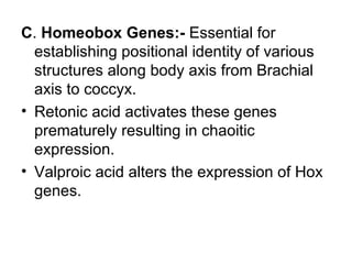 C. Homeobox Genes:- Essential for
  establishing positional identity of various
  structures along body axis from Brachial
  axis to coccyx.
• Retonic acid activates these genes
  prematurely resulting in chaoitic
  expression.
• Valproic acid alters the expression of Hox
  genes.
 