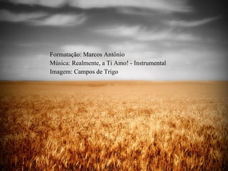 Formatação: Marcos Antônio Música: Realmente, a Ti Amo! - Instrumental Imagem: Campos de Trigo 