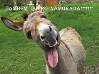 Também quero namorada!!!!!!!
 