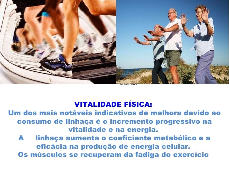 Que óleo de cabelo é melhor da fragilidade