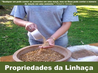 Propriedades da Linhaça &quot;Qualquer um pode contar as  sementes  em uma maçã, mas só Deus pode contar o número de maçãs em uma  semente .&quot;  ( Robert H. Schuller ) 